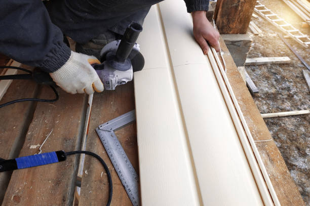 Best Custom Trim and Detailing for Siding  in Moosic, PA